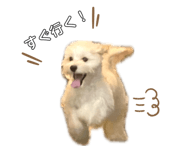 840426798