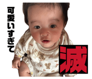 840427213