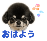840427722