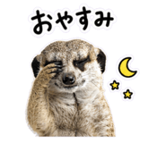 840428563