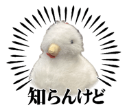 840429081