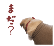 840429185