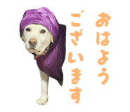 840429187