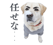 840429198