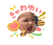 840431633