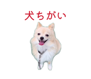 840431927