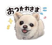 840432557