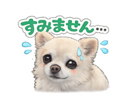 840432564
