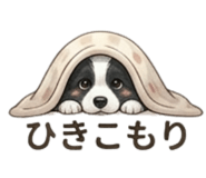 840433415