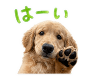 840433519