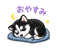 840433817