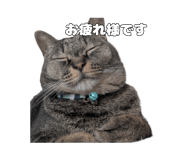840434434