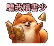 840436203