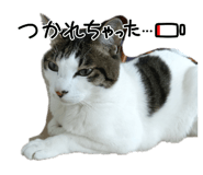 840437534