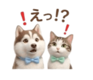 840437980