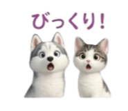 840437996