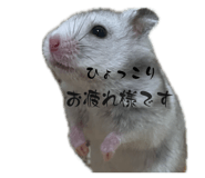 840438644
