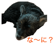 840438873