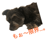 840438888