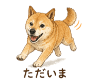 840440964
