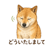 840440967