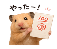 840441338