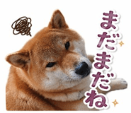 840443836