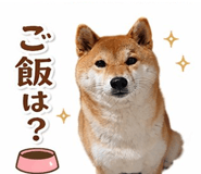 840443843