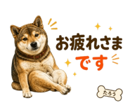 840444044