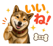 840444046