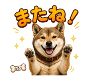 840444048