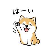 840444074