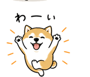 840444080