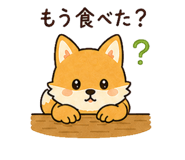 840445630