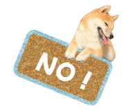 840449762