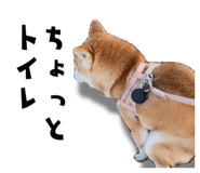 840449765