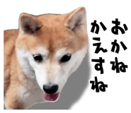 840449770