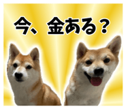 840449771