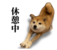 840449772