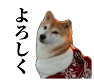 840449775