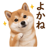 840451597