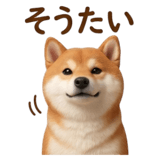 840451598