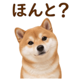 840451602