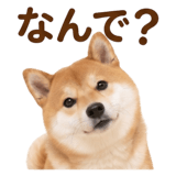 840451603