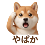 840451607