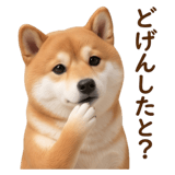 840451617