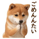 840451629