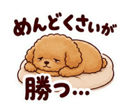 840451674
