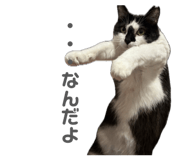 840452267