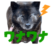 840453169